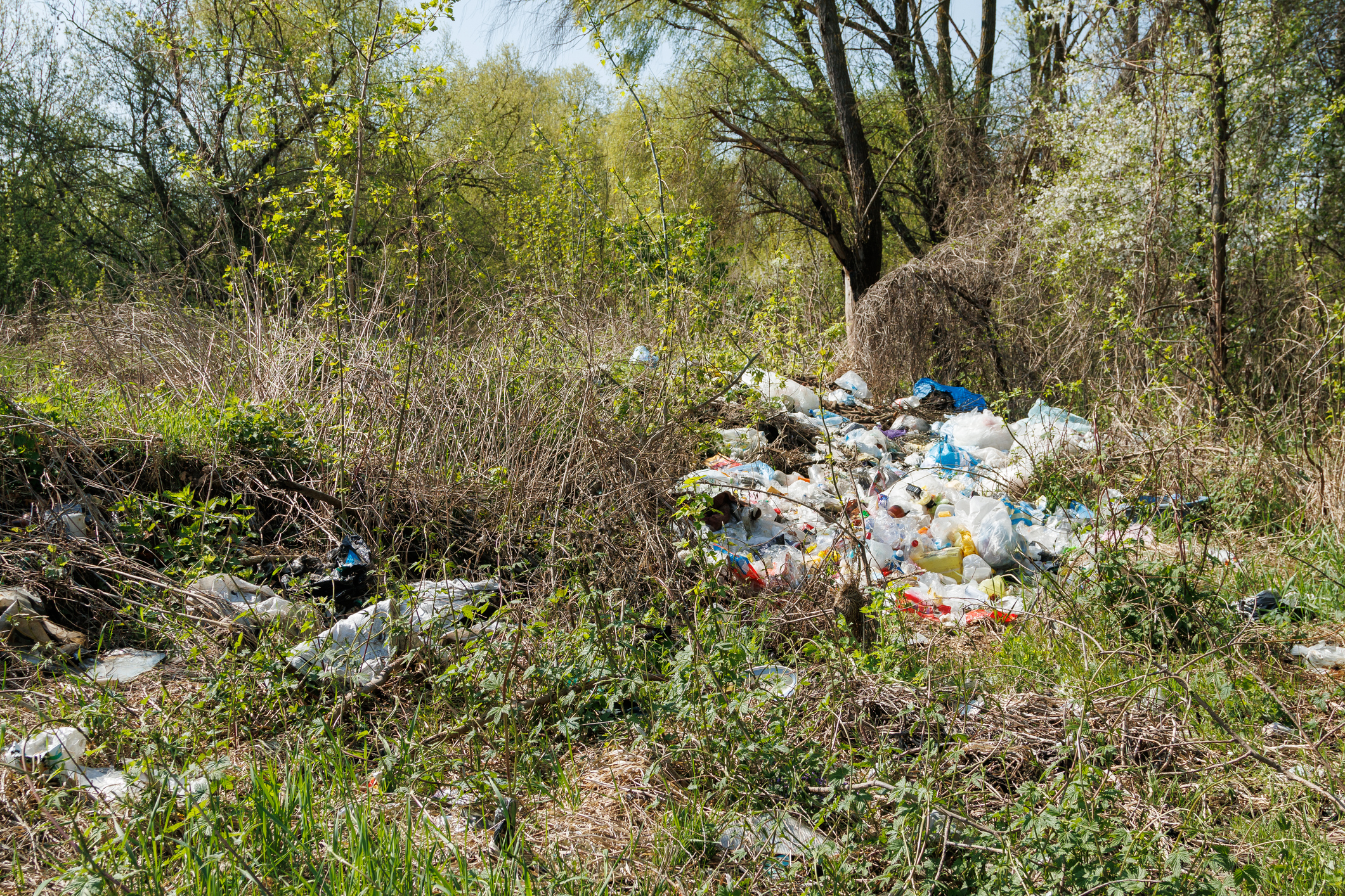 Kontrola śmieci na nieruchomościach niezamieszkałych